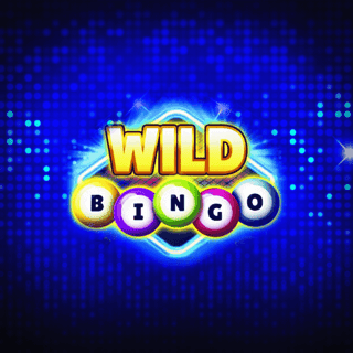 Wild Bingo game cover